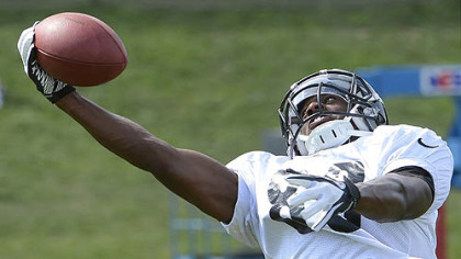 Emmanuel Sanders one hands a pass during Steelers afternoon workouts at training camp at St Vincent College.