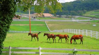 This horse farm is visible from the trail in Peters.