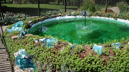 This fish pond is what triggered Laura Patterson-Santore of Smock, Pa (near Uniontown) to renovate the Our Lady of Victory Prayer Garden at Mt. Saint Macrina in Uniontown.