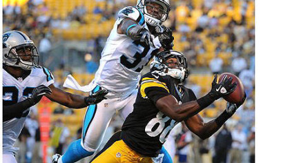 The Steelers' Emmanuel Sanders hauls in pass from quarterback Charlie Batch against the Panthers.
