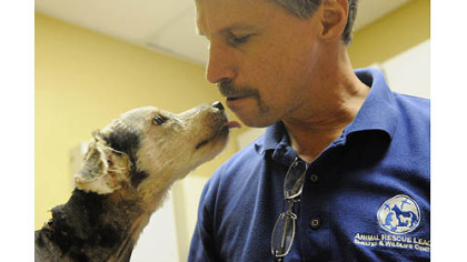A dog that was brought to the Animal Rescue League Shelter licks the face of Dan Rossi, executive director of the center. The dog was found inside a trash can in Garfield.