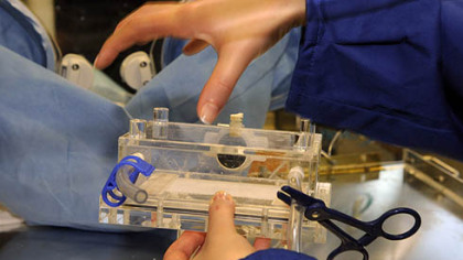 The inter camber of the Aqueous Immersion Surgical System prototype to be tested under zero gravity through NASA.