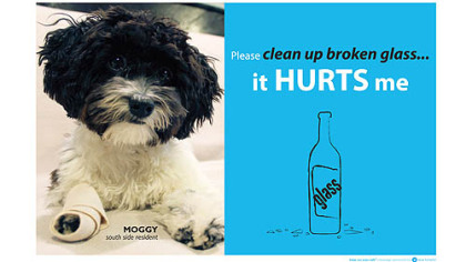 Kim Collins of the South Side has created posters imploring people to pick up glass on the South Side to avoid injuries to pets.