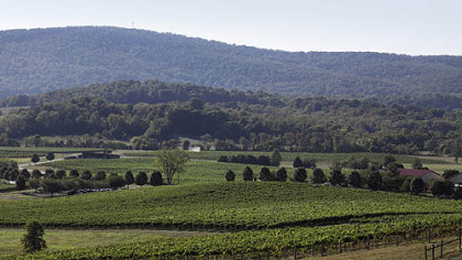Breaux Vineyards in Virginia