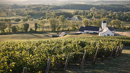 RdV Vineyards in Delaplane, Va.