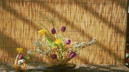 Tulips and spring-flowering tree branches in an Ichiyo arrangement by Gerry Tinder.