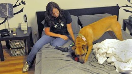 Amy Dengler, at the Hello Bully halfway house, plays with Isis, 11, whose owner died of cancer. Isis' home is a full-sized bedroom.