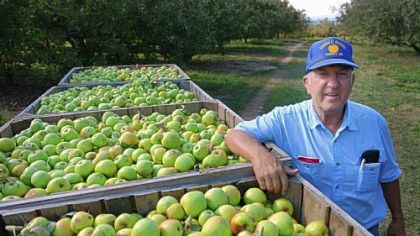 Garry Shanholtz, 70, has been farming on his family?s orchard in Romney, W.Va., his entire life ? and sports Romney-Ryan campaign signs in the yard.
