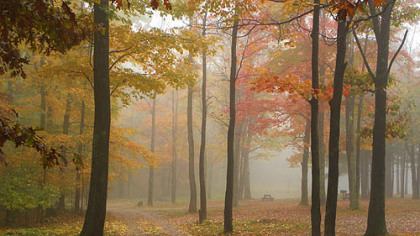 Fall foliage is expected to be at its peak in Morgantown in early to mid-October.