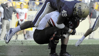 Pitt's Eric Williams sacks Gardner-Webb quarterback Lucas Beatty last Saturday at Heinz Field.