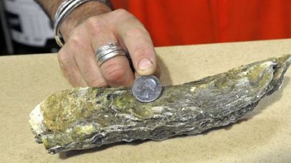 Henry Dewey of Penn Avenue Fish Co. uses a quarter to demonstrate the size of a Totem Bay oyster from Washington.
