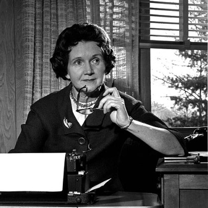 Rachel Carson, author of "Silent Spring," is seen typing in her library at home in Washington D.C. on March 13, 1963.