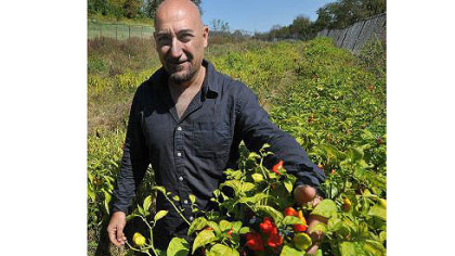 Nicola DiCio in the chile pepper garden of White Oak Farm, which straddles Hampton and Indiana townships.