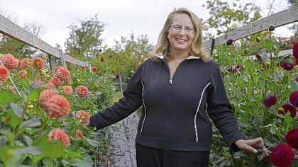 Alpha Dahlias owner Evy Rogers stands with 'Rose Toscano,' left, and 'Ivanetti' dahlias, right.
