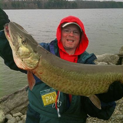 A new musky management plan being considered by the state Fish and Boat Commission would enhance research efforts and could result in regulatory changes. In April, John Ketter of McDonald released this 45-incher at Pymatuning Reservoir.