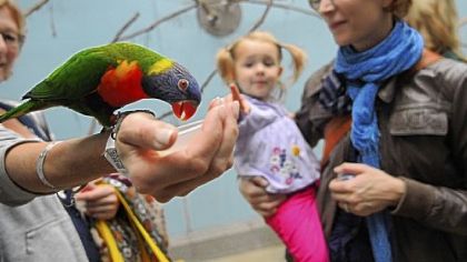 Sarah Kuehn and her daughter, Luisa, admire a lorikeet at the National Aviary on the North Side. The aviary is celebrating its 60th anniversary this year.