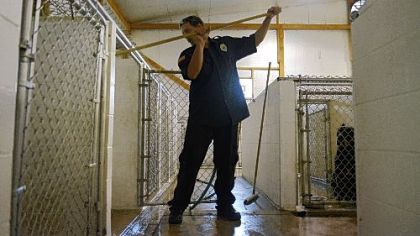 Brian Holzer of Triangle Pet Control Service cleans cages Wednesday at the company's McKees Rocks facility.