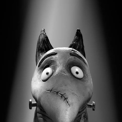 Sparky in "Frankenweenie."