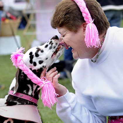 Lisa Bauer of Hampton gets a kiss from her Dalmation, Jazz, on Sunday as they participate in the fourth annual Susan G. Komen Paws for the Cure walk at Hartwood Acres. The event featured dog costumes, an agility course and a one-mile walk.