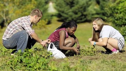 Derek Wagler, science teacher at Shady Side Academy picks the remaining beans with seniors, Elisa Ogot and Maegan Stump at their new working vegetable farm in Fox Chapel.
