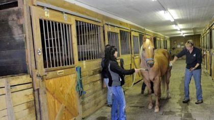 Colleen Hasser, left, holds Jess, a 17-year-old gelding, as Shelly Bates brushes the horse during an open house for Riding for the Handicapped in McCandless.