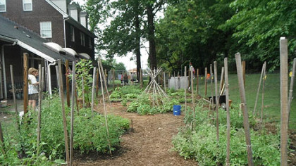 The Sewickley Food Pantry Garden.