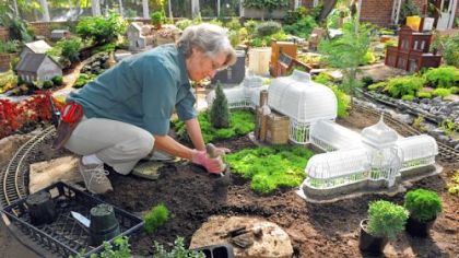 Georgia Wahl plants Irish Moss to serve as the lawn for the replica of Phipps Conservatory in the Garden Railroad. The model features the original entrance to the building.
