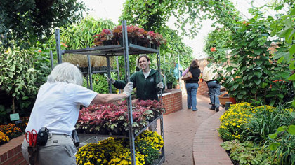 Suzanne Witkowski, left, and Alisa Shetter-Zisman ferry more flowers for planting in the Serpentine Room for the fall show at Phipps Conservatory.