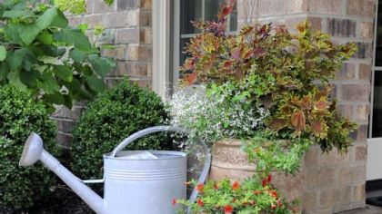 An arrangement of potted plants and a worn watering can provide a point of interest in Rose Romboski's garden.