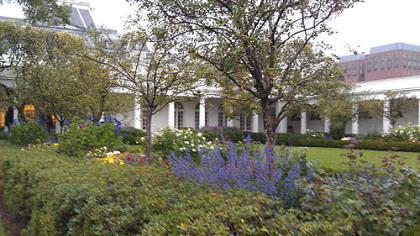 The White House Rose Garden.