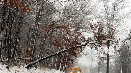 A PennDOT truck waits for a crew to take care of a tree laying on  utility lines along Copper Kettle Highway in Somerset County.