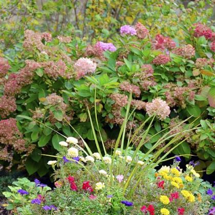 A planter of annual flowers at Canterbury Place.