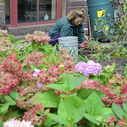 Sarah Reed of Aspinwall plants some perennials she brought from her own garden at the The Seeders and Weeders Garden at Canterbury Place in Lawrenceville.