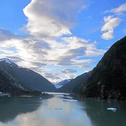 Ships navigate through a field of small icebergs in Tracy Arm Fjord