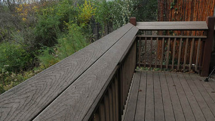 The railing of the observation area where a 2-year-old boy fell into the African painted dog exhibit.