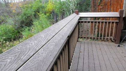 A view of the tilt of railing along the open viewing area  at the  "Painted Dog Encounter" at the Pittsburgh Zoo and PPG Aquarium.
