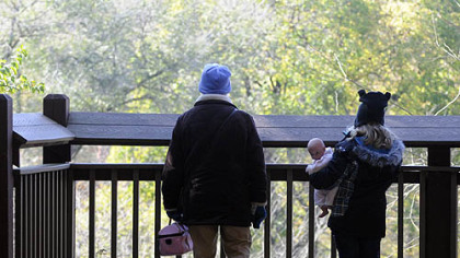 Hope Tinker and her granddaughter Ellie Tinker, 7, stand on an overlook at the Pittsburgh Zoo that is adjacent and identical to where a 2-year boy fell on Sunday.