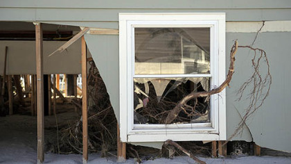 A tree through the first floor window of a home in Holgate on Long Beach Island, NJ, where several feet of sand blew into homes.
