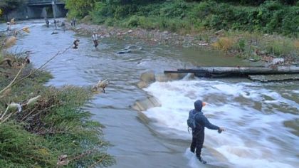 A U.S. Geological Survey monitoring station is positioned below the Manchester Road bridge on Walnut Creek in Erie County. Data automatically posted on the Internet can alert anglers about water conditions.