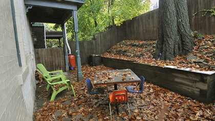 The back patio