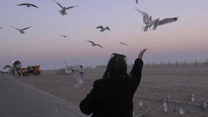 A woman feeds the remains of her Thrasher's french fries to seagulls along the boardwalk in Ocean City, Md., on Sunday.