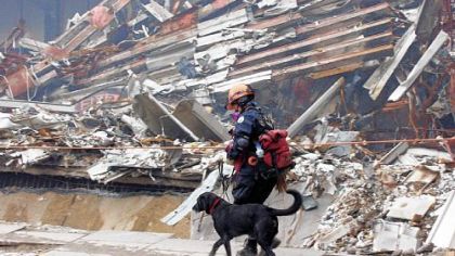 Colorado Task Force member Ann Wickman crosses the pile of rubble with her search and rescue dog Jenner Sept. 25, 2001, at the World Trade Center disaster area. At the University of Pennsylvania's School of Veterinary Medicine, a new generation of rescue dogs is being trained.