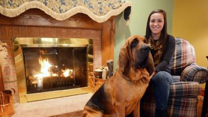 Kara Berestecky of Bethel Park with her bloodhound Otis.