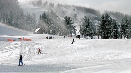 The owners of Wisp, Maryland's only ski resort, have asked a bankruptcy court judge to approve a sale of the property to a unit of EPR Properties, a real-estate investment trust in Kansas City, for $20.5 million. Wisp will hire 350 seasonal staff and prepare to open Nov. 24, weather permitting.