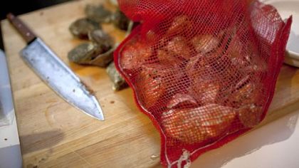 A sack of oysters ready to be roasted.