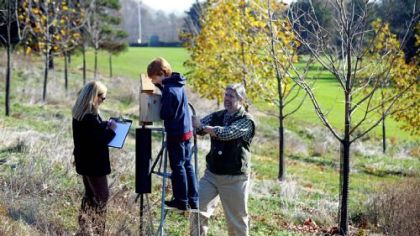 Ethan Schrim, 11, of Green Tree looks into a bird box Friday under the guidance of Bob Mulvihill, an ornithologist with the Audubon Society of Western Pennsylvania, and Laura Hansen, owner of Wildbirds Unlimited, at the Bob O'Connor Golf Course in Schenley Park.