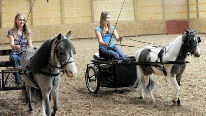 Kristina Taynor, 17, left, with Sweet Dreams and her sister, Michelle, right, with Dottie give horses a workout.
