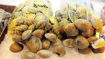 Little neck clams, left, and middle neck clams from Virginia at the Penn Avenue Seafood Co.