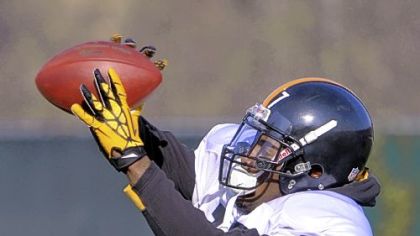 Receiver Mike Wallace hauls in a pass Wednesday as the team began preparations in earnest for a game Sunday in Baltimore against the Ravens.