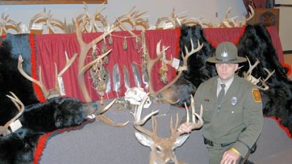 The Game Commission's John Wyant displays recovered animal parts that were sold illegally on the black market or taken from poached animals.